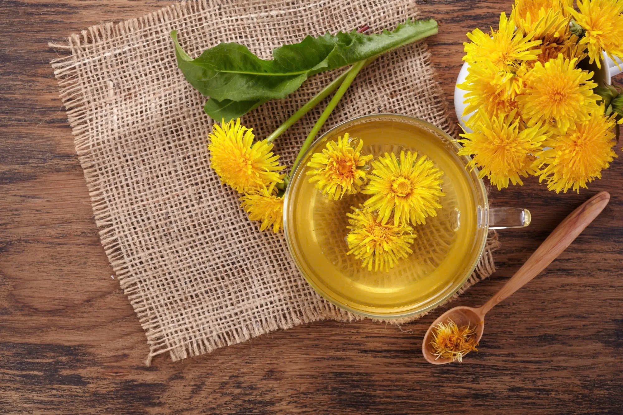 Dandelion Extract