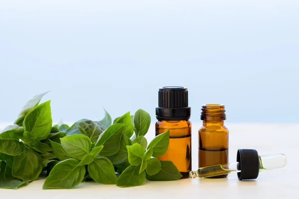Basil Essential Oil